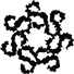 Seraphim.co.us